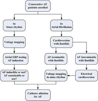 Low-Voltage Zones as the Atrial Fibrillation Substrates: Relationship With Initiation, Perpetuation, and Termination